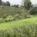屋外の景色