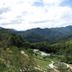 屋外の景色