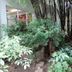 屋外の景色