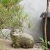 屋外の景色