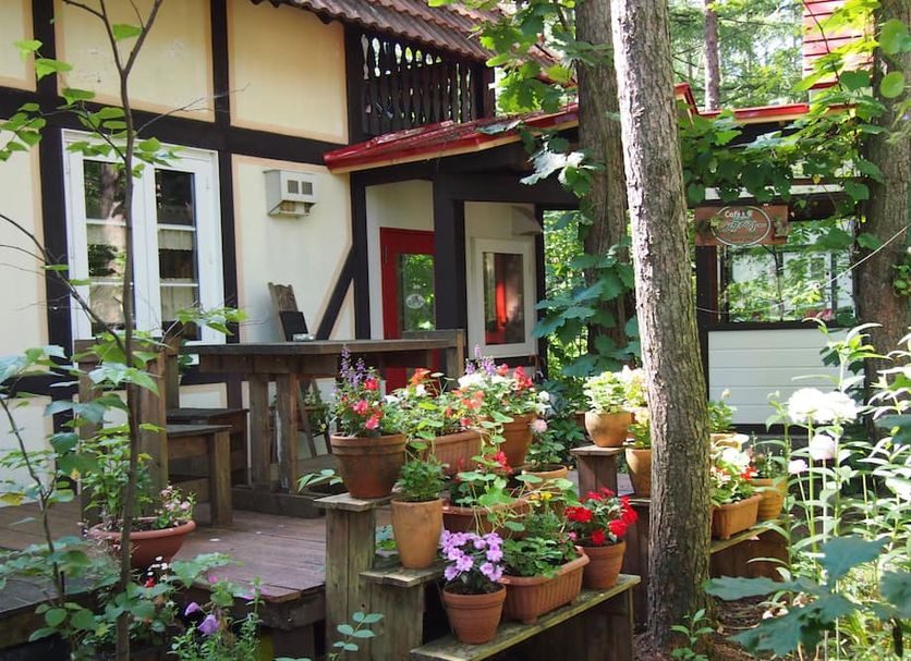 屋外の景色 写真