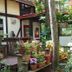屋外の景色