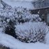 屋外の景色