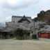 屋外の景色