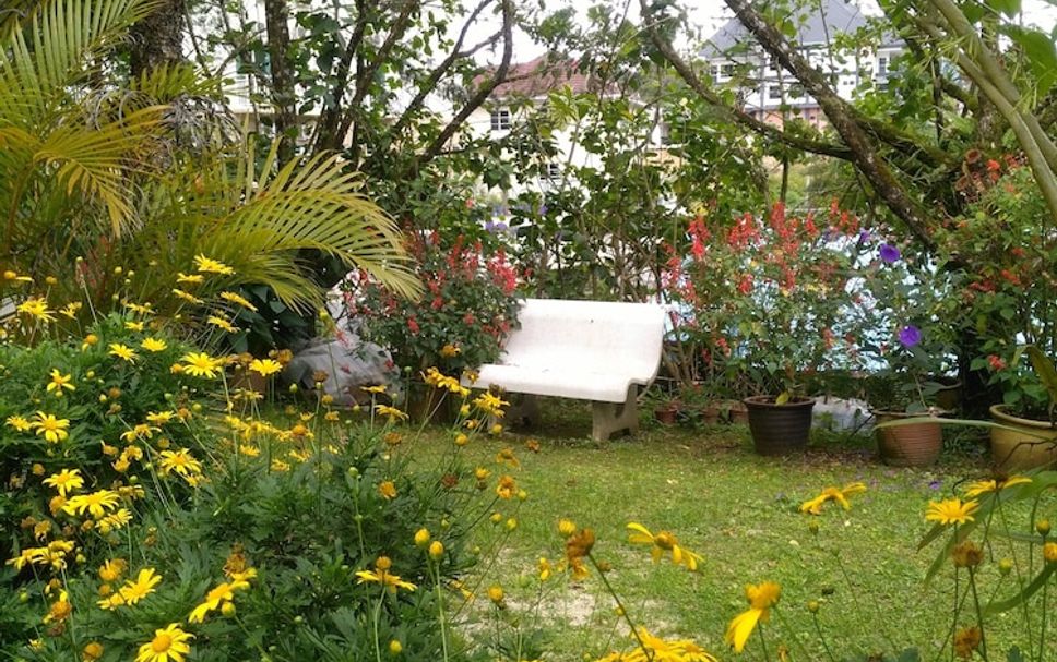 屋外の景色 写真