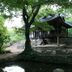 屋外の景色