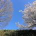 屋外の景色