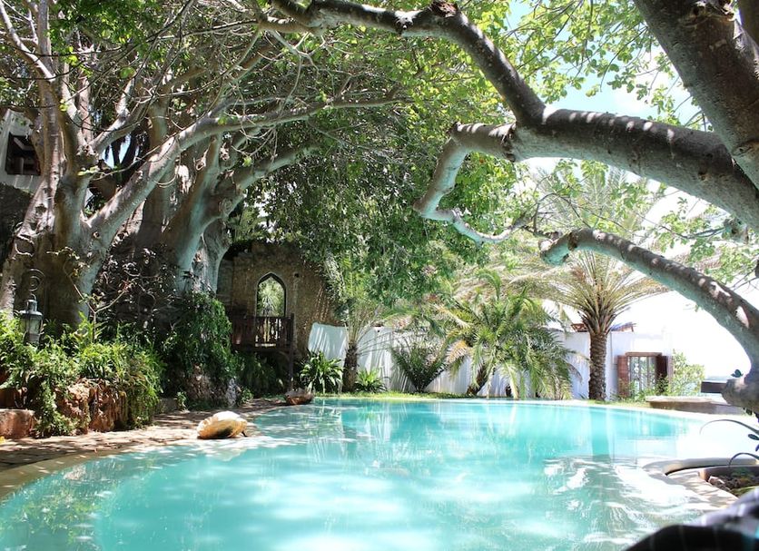 プール 写真
