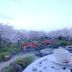 屋外の景色