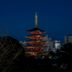 屋外の景色
