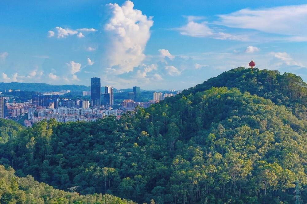 屋外の景色