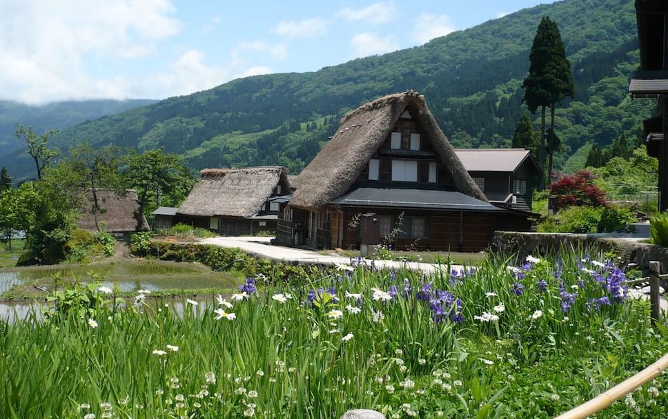 屋外の景色 写真