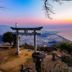 屋外の景色