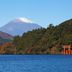 屋外の景色