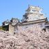 屋外の景色