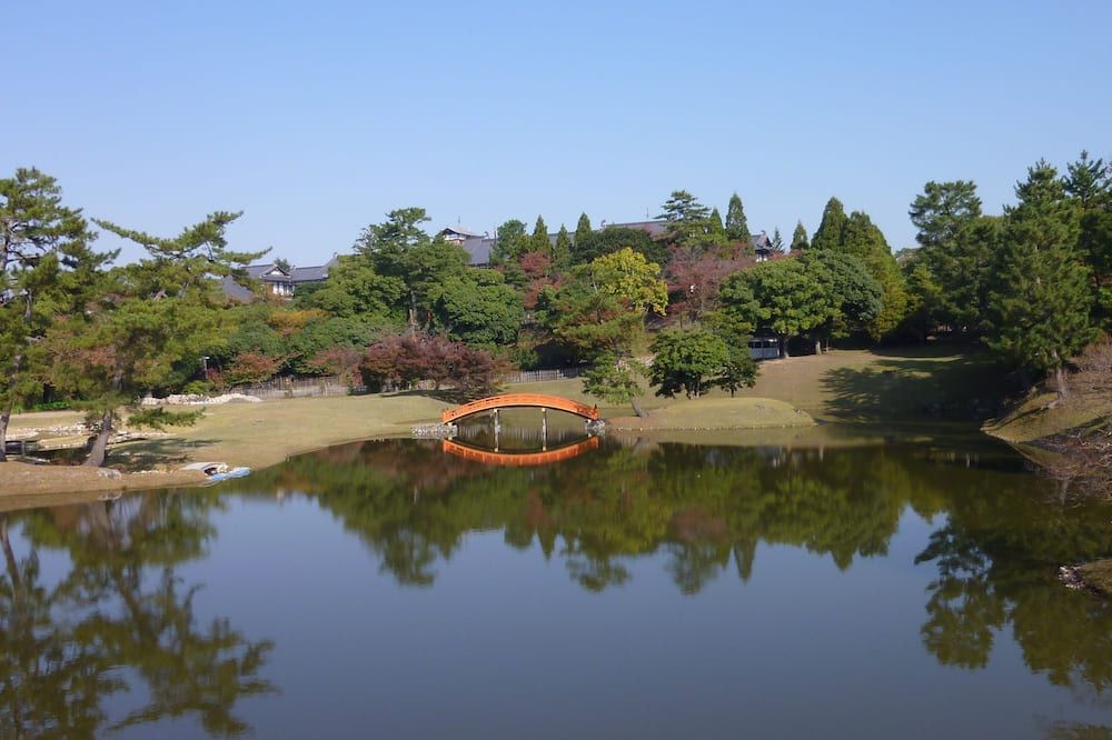 屋外の景色