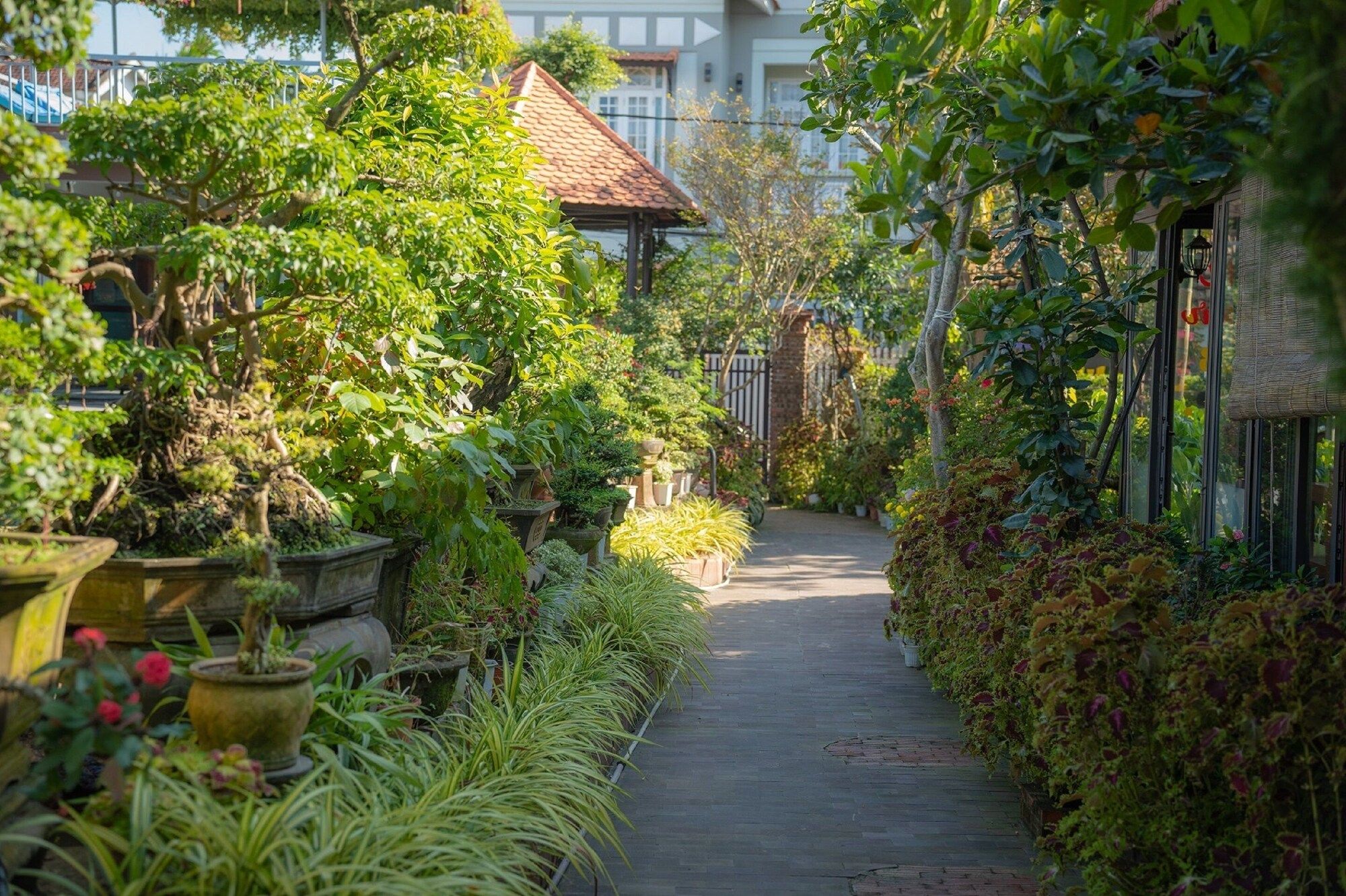 屋外の景色