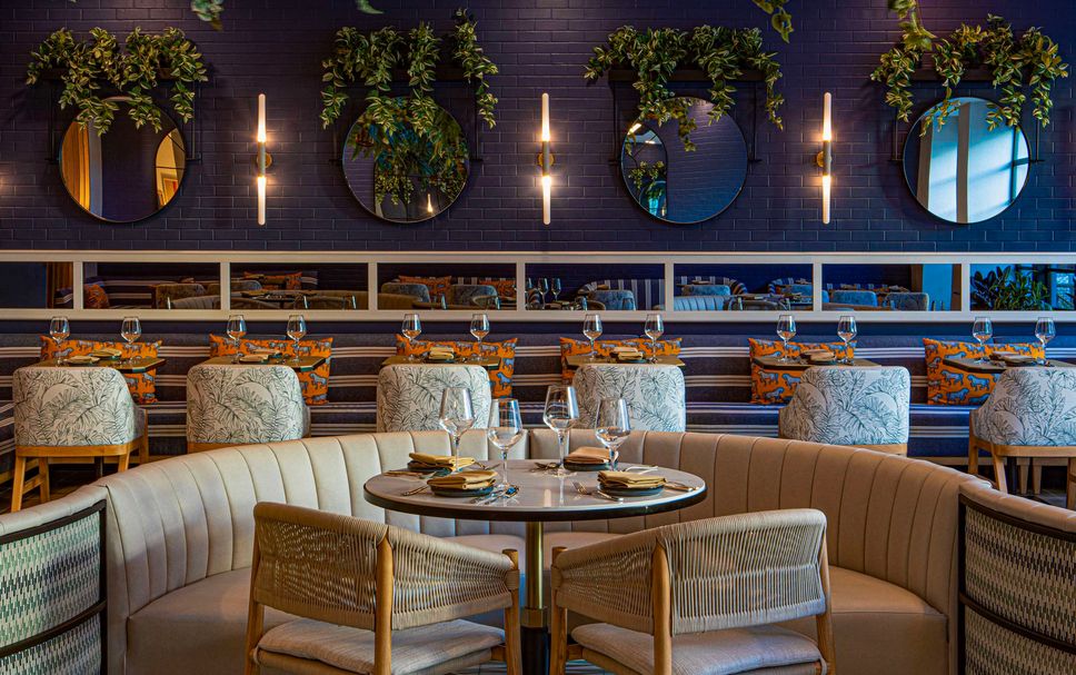 レストラン 写真