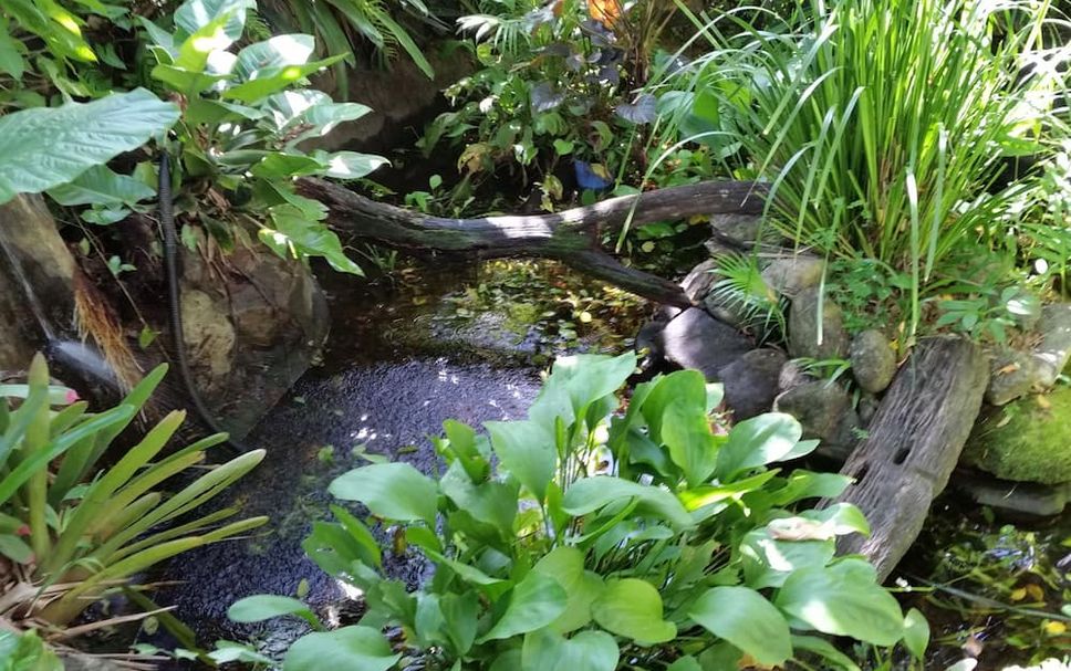 屋外の景色 写真