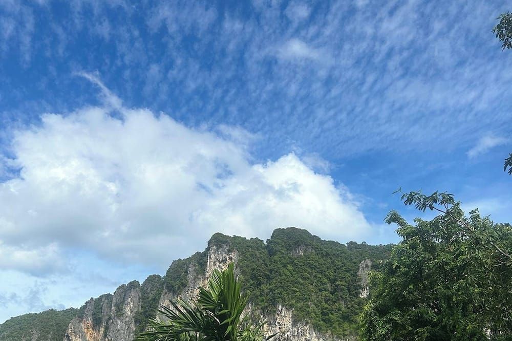 屋外の景色