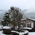 屋外の景色
