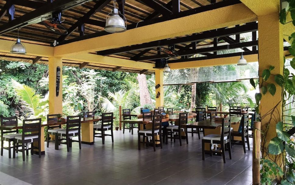 レストラン 写真