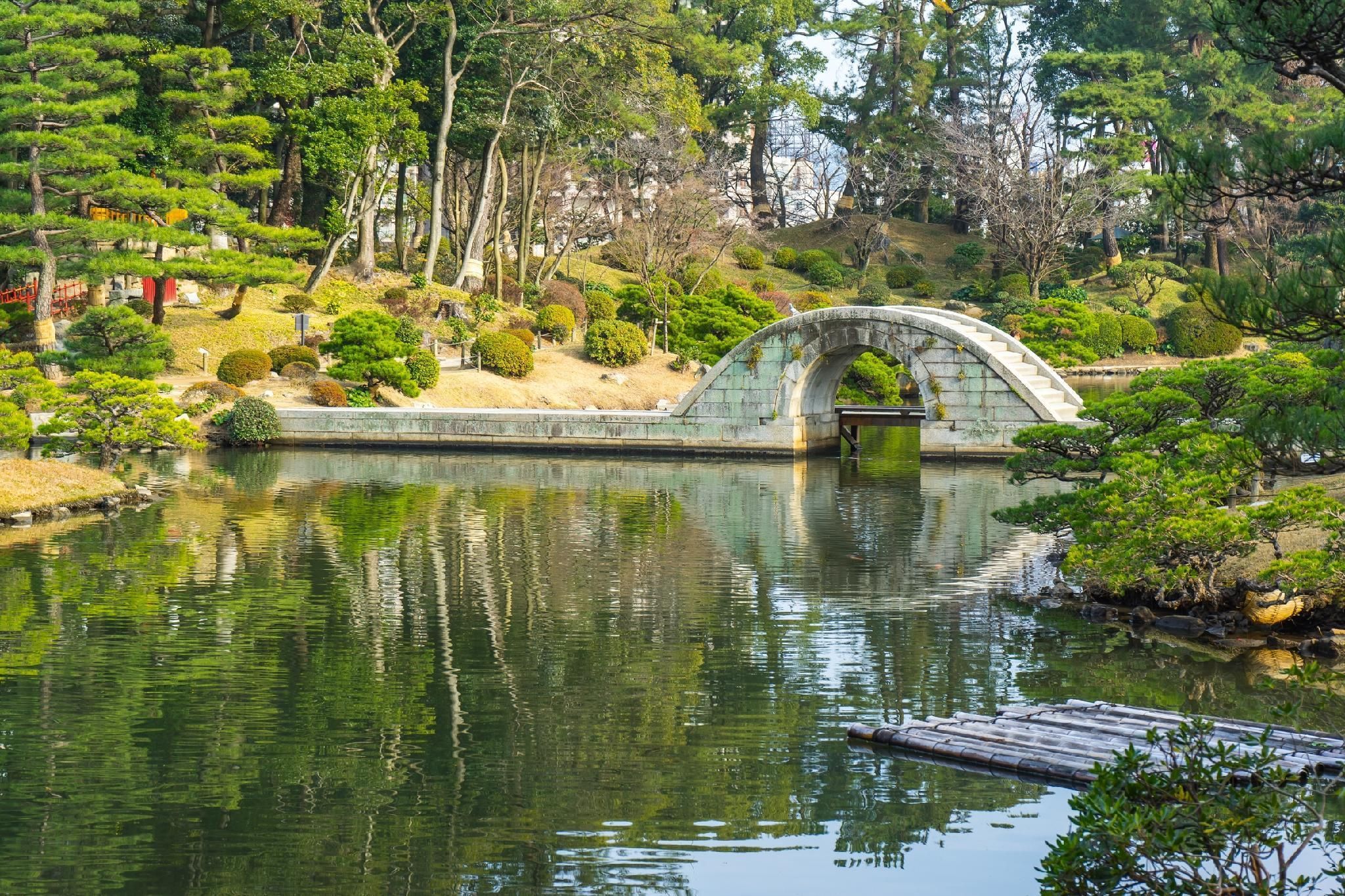 屋外の景色