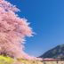 屋外の景色