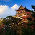 屋外の景色