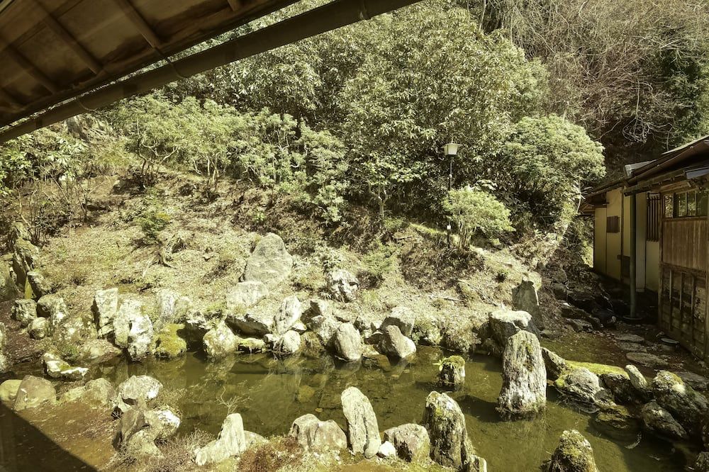 屋外の景色