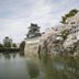 屋外の景色