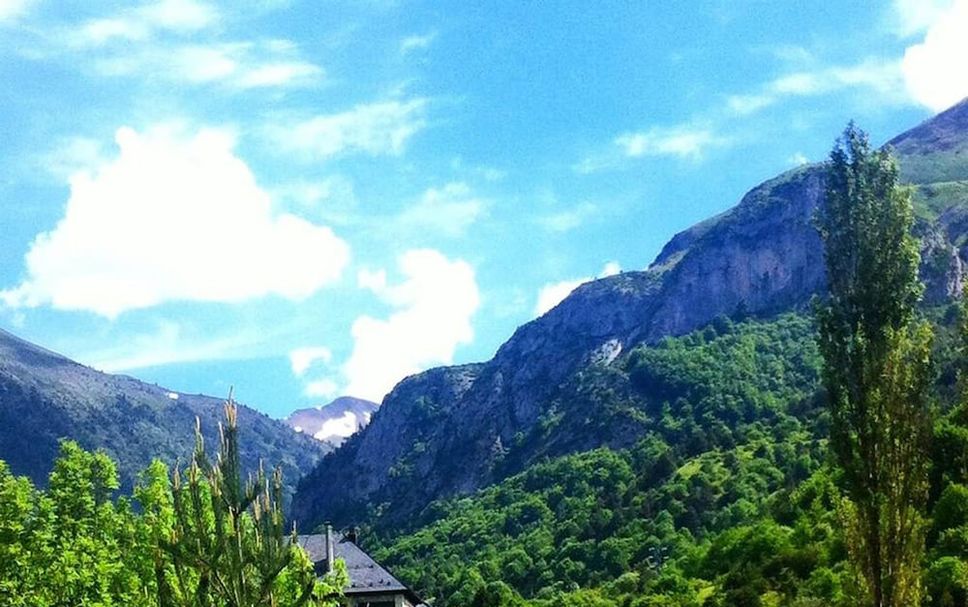 屋外の景色 写真