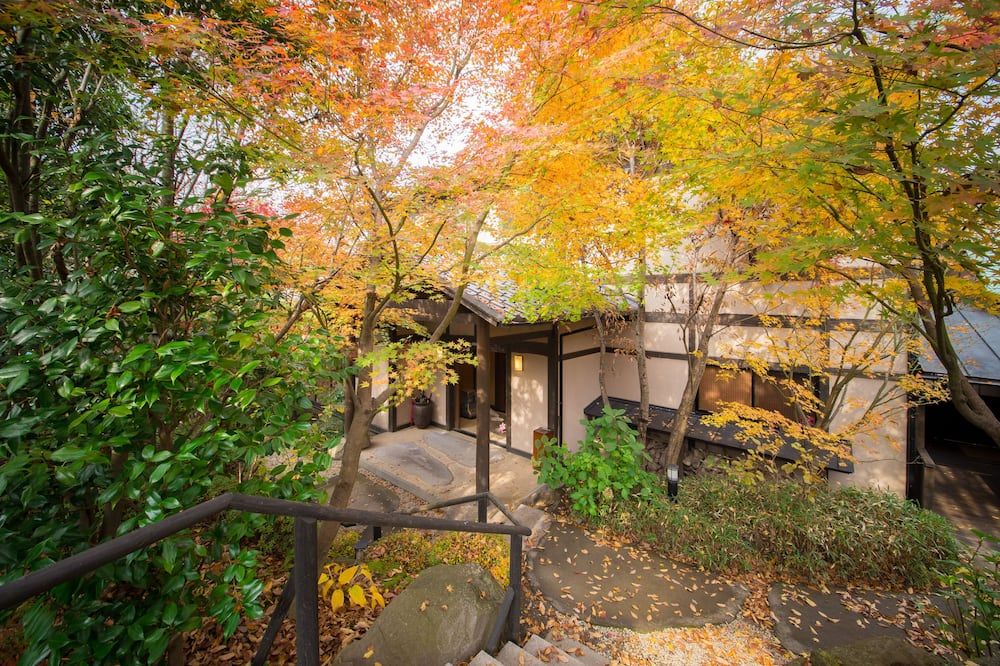 屋外の景色