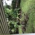 屋外の景色