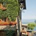 屋外の景色