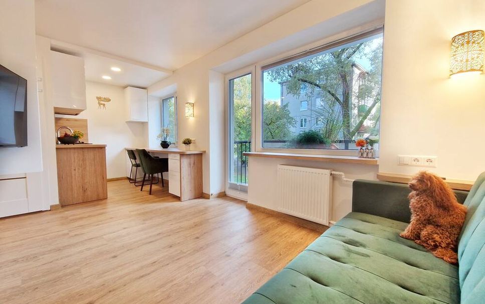 リビングルーム 写真