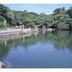 屋外の景色