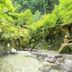 屋外の景色