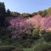 屋外の景色