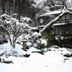 屋外の景色
