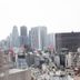 屋外の景色