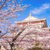 屋外の景色