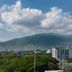 屋外の景色