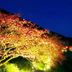 屋外の景色