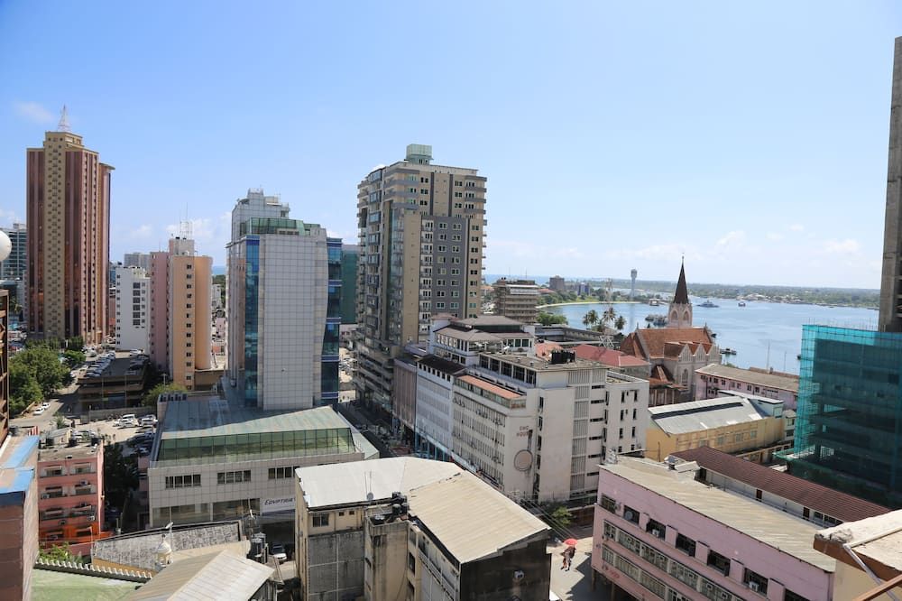屋外の景色