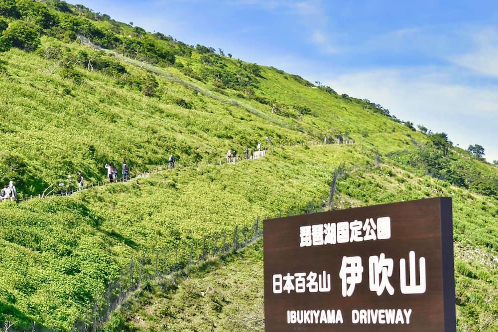 屋外の景色