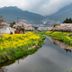 屋外の景色