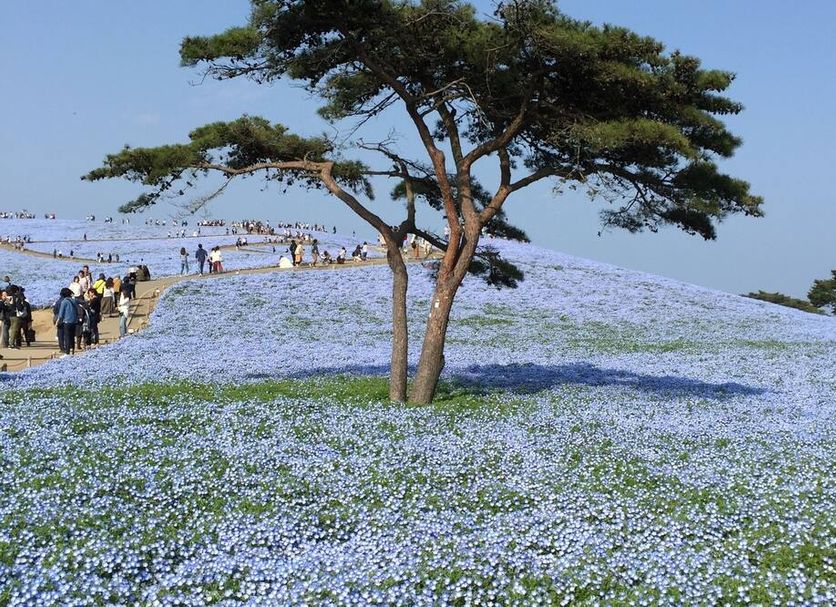 屋外の景色 写真