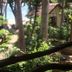 屋外の景色