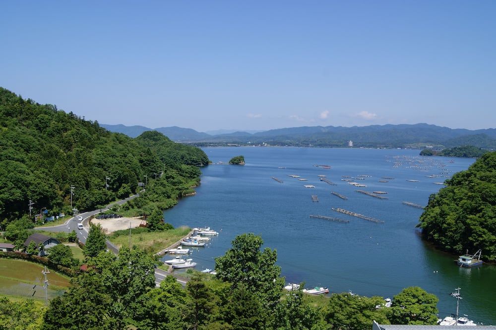 屋外の景色